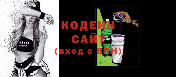 индика Покачи