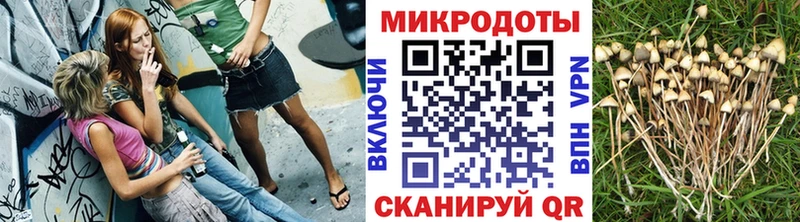 закладки Абаза Галлюциногенные грибы Psilocybe